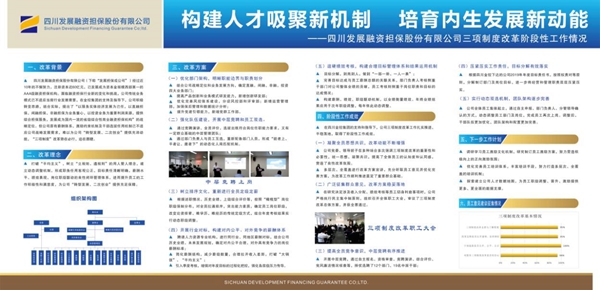 中企“出海” 为全球市场“上新”（经济聚焦·扩大双向投资）